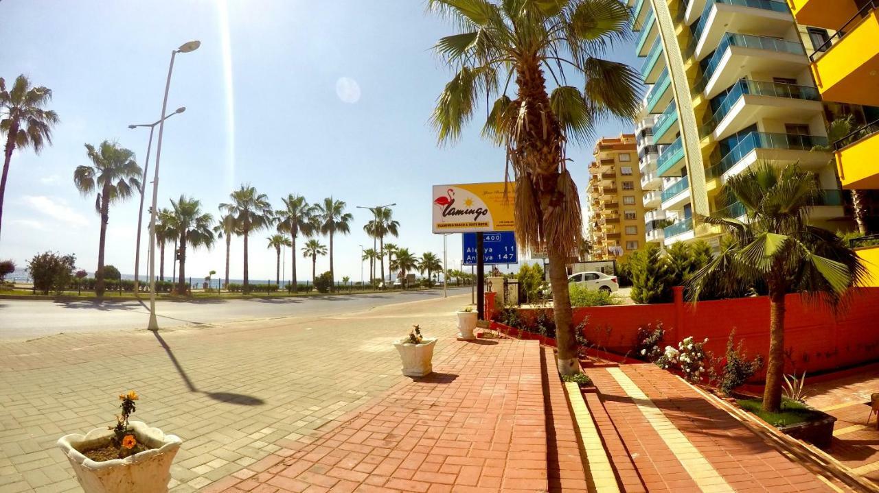 Flamingo Beach & Suite Mahmutlar Kültér fotó