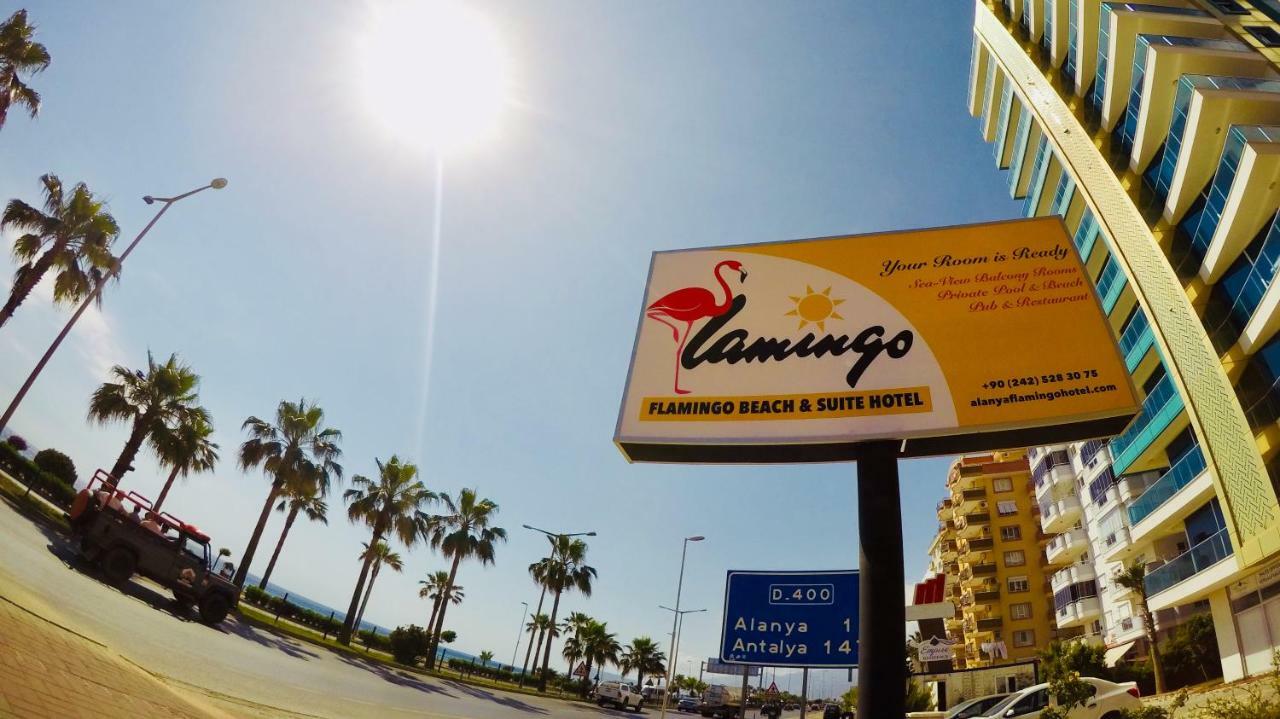 Flamingo Beach & Suite Mahmutlar Kültér fotó
